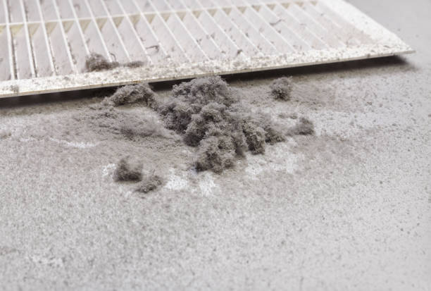 Best Air Duct Cleaning Near Me  in Edinburg, IL
