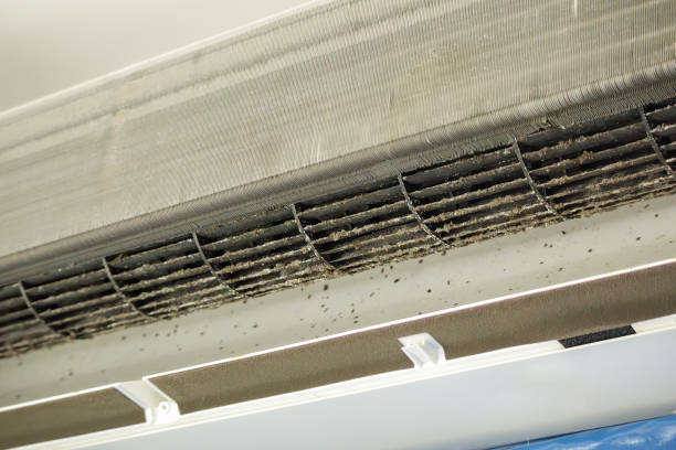 Best Emergency Air Duct Cleaning  in Edinburg, IL