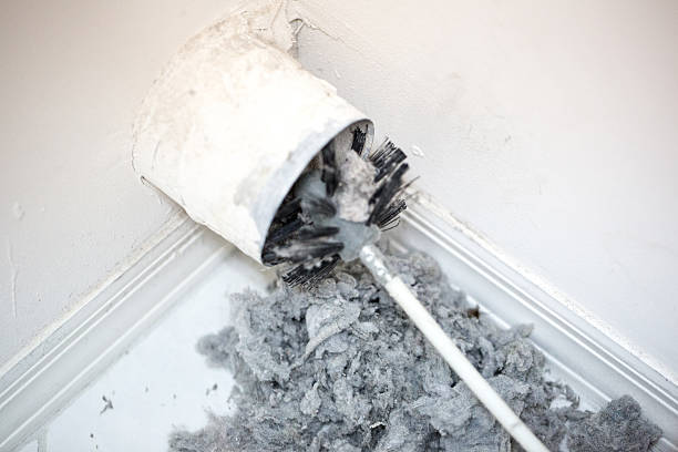 Best Duct Cleaning for Homes  in Edinburg, IL