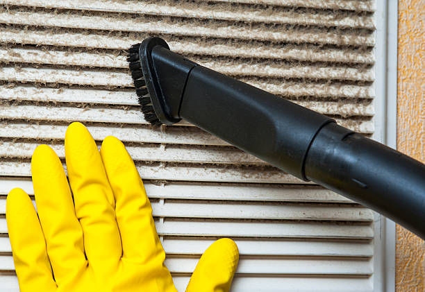 Best Residential Air Duct Cleaning  in Edinburg, IL